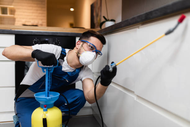 Best Residential Pest Control  in Wiggins, CO
