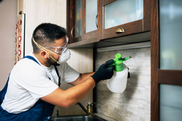 Best Bed Bug Extermination  in Wiggins, CO