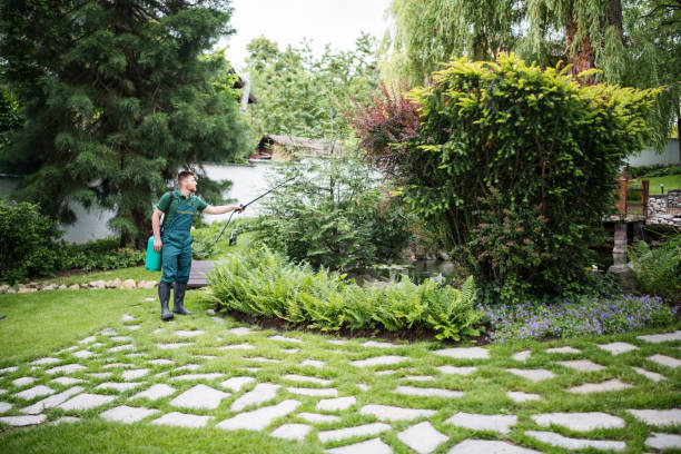 Best Exterminator Services  in Wiggins, CO