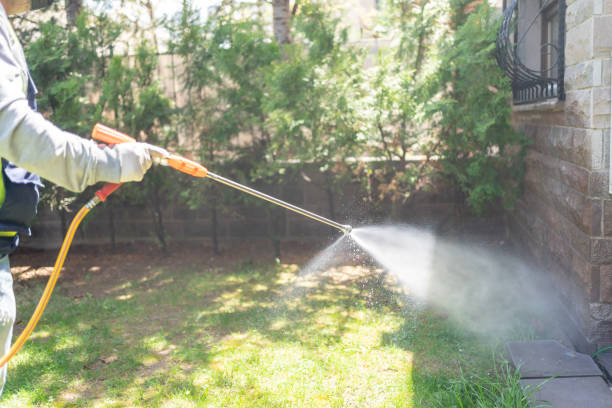 Best Flea Control Services  in Wiggins, CO
